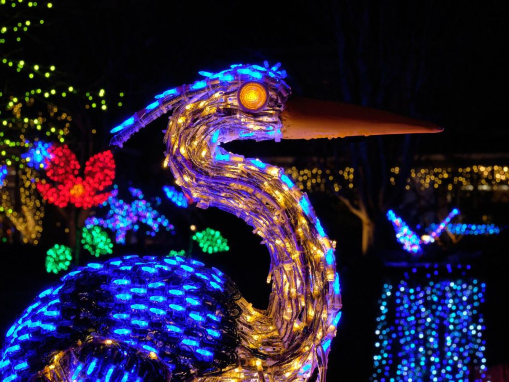 Ashvillie stringed up with holiday lighting 